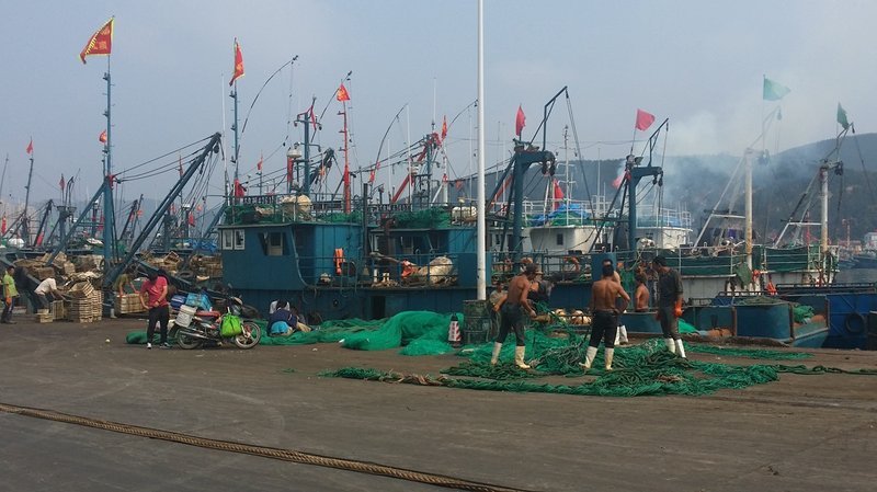 Image: Experience the Thrill of Cai Shen Fishing in India - A Game Review